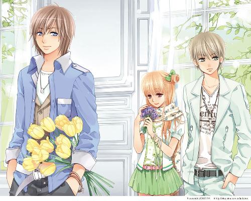 无需登录免费观看