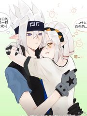 甸伊园入口无跳转